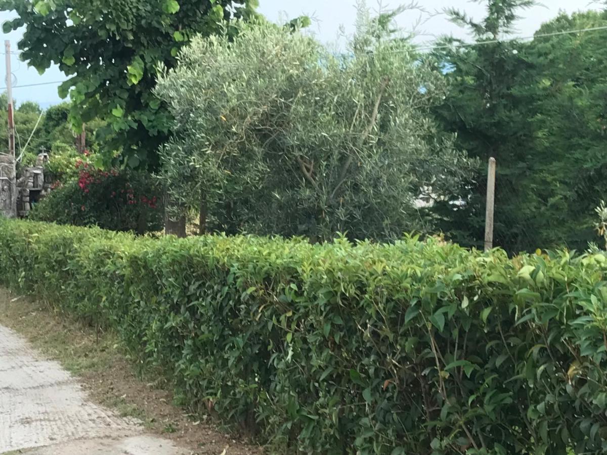 Casa Dei Fiori Villa Asprovalta Buitenkant foto